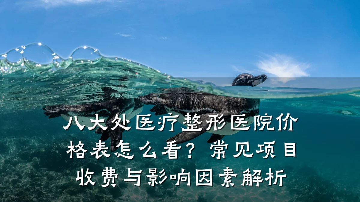 八大处医疗整形医院价格表怎么看?常见项目收费与影响因素解析