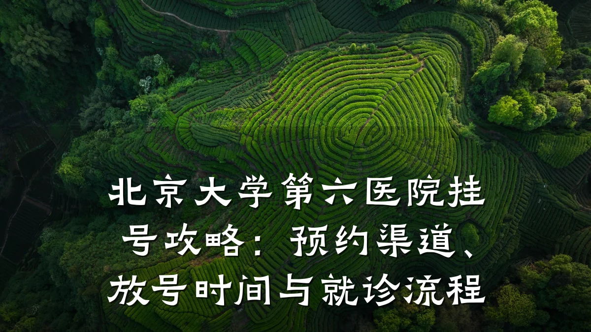 北京大学第六医院挂号攻略:预约渠道、放号时间与就诊流程