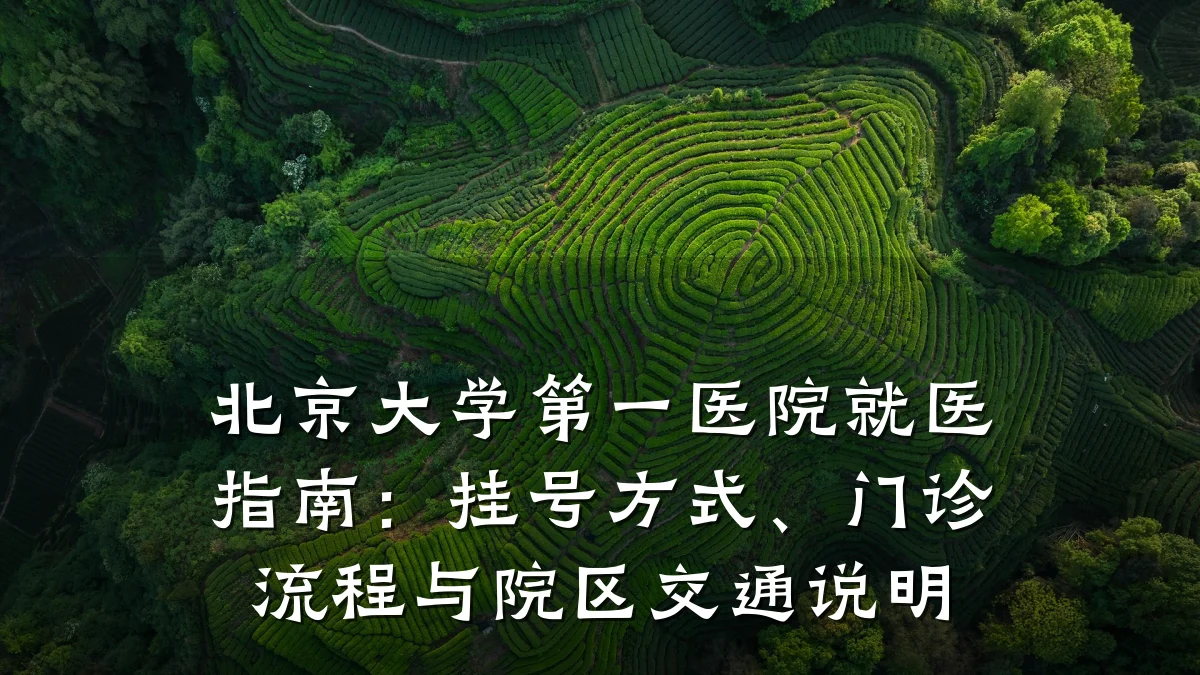 北京大学第一医院就医指南:挂号方式、门诊流程与院区交通说明