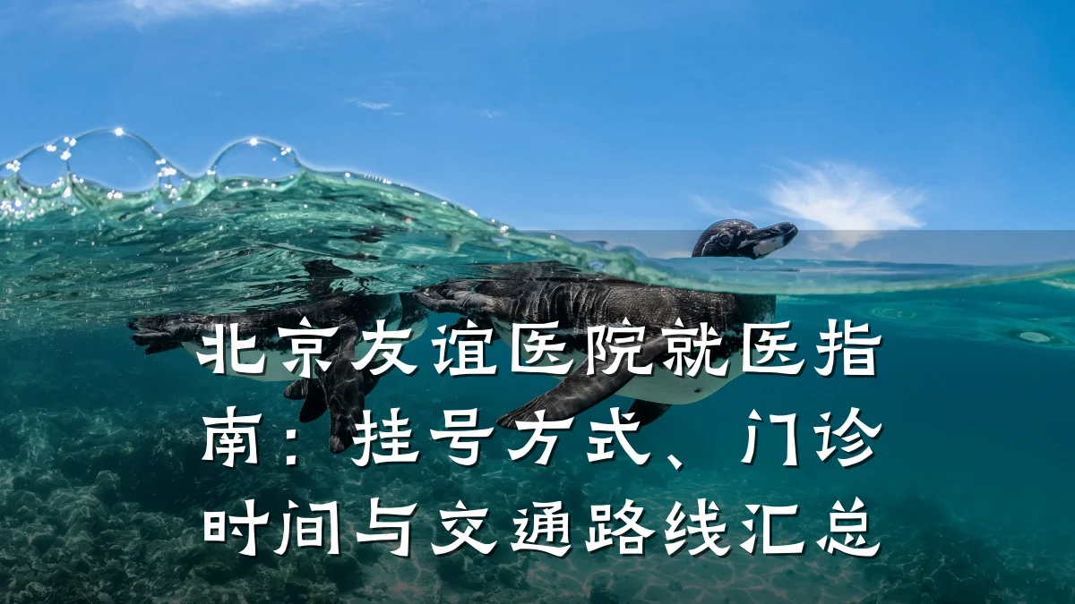 北京友谊医院就医指南：挂号方式、门诊时间与交通路线汇总