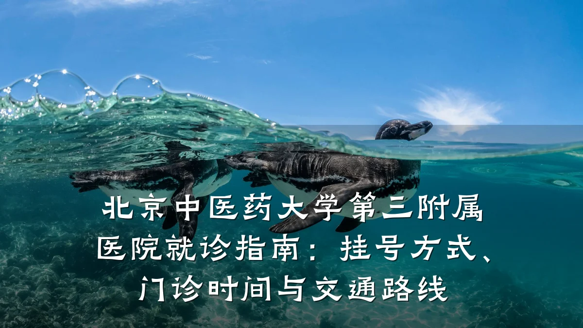 北京中医药大学第三附属医院就诊指南:挂号方式、门诊时间与交通路线