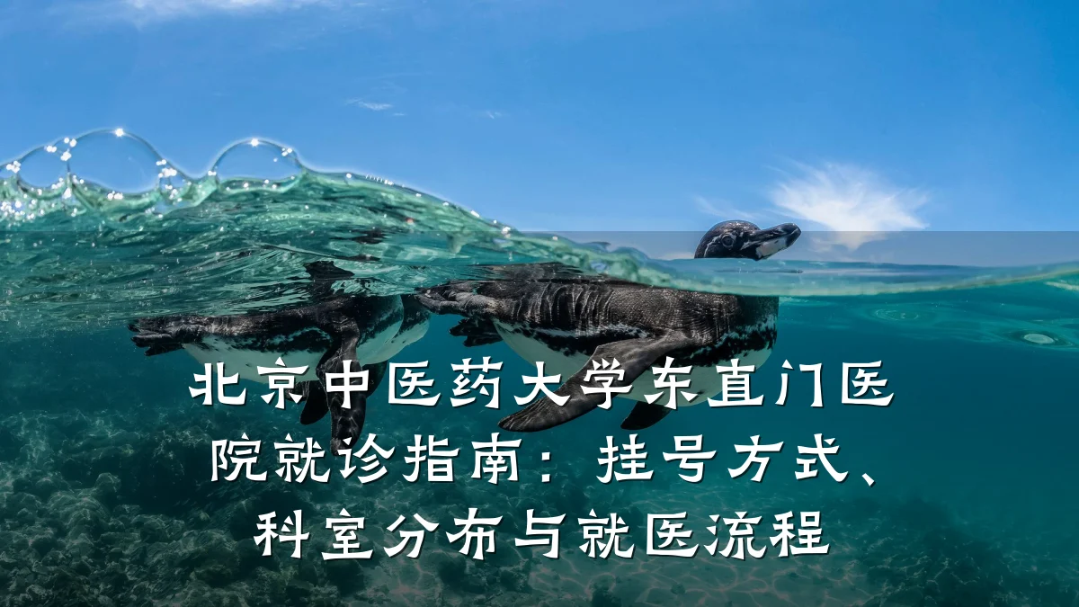 北京中医药大学东直门医院就诊指南:挂号方式、科室分布与就医流程