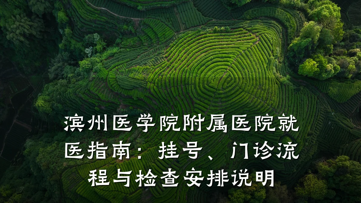 滨州医学院附属医院就医指南:挂号、门诊流程与检查安排说明