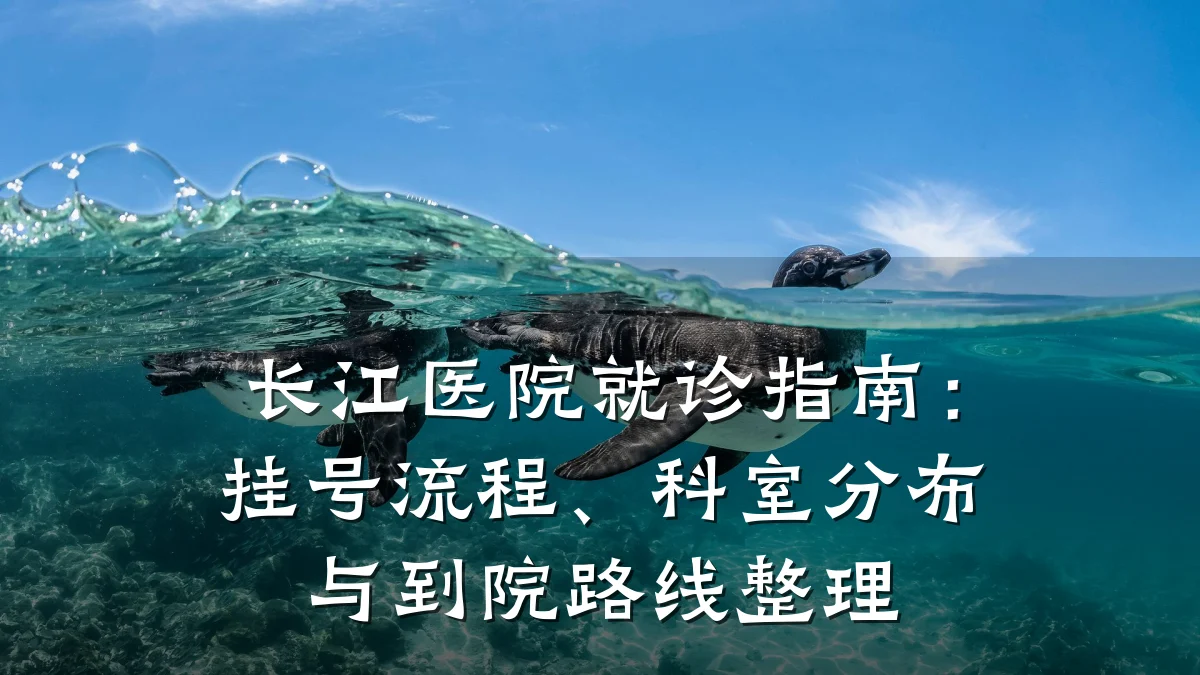 长江医院就诊指南:挂号流程、科室分布与到院路线整理