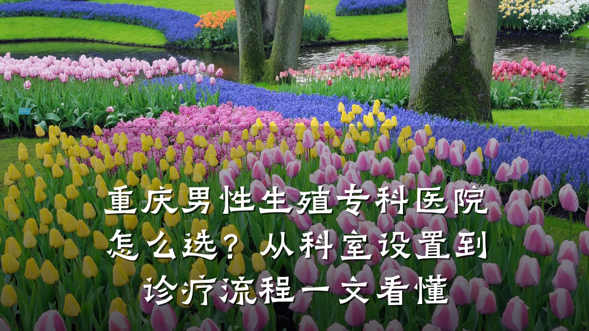 重庆男性生殖专科医院怎么选?从科室设置到诊疗流程一文看懂