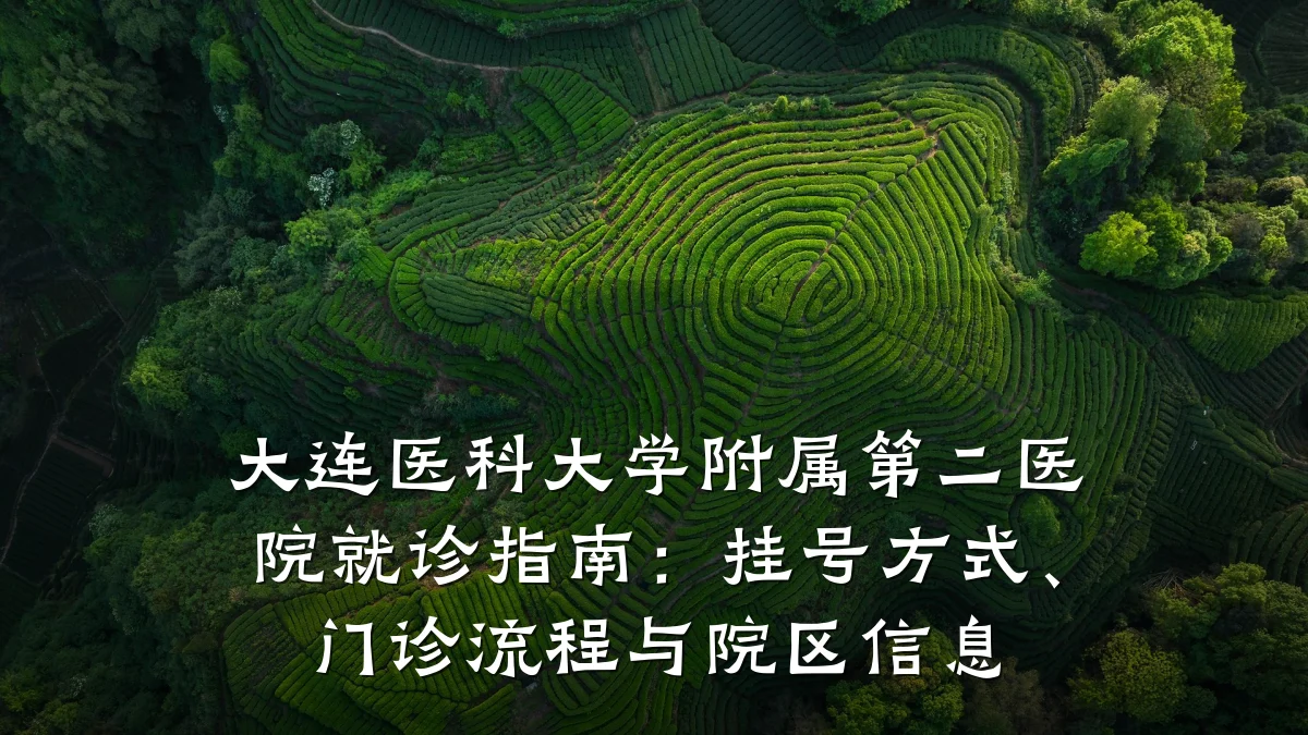 大连医科大学附属第二医院就诊指南:挂号方式、门诊流程与院区信息