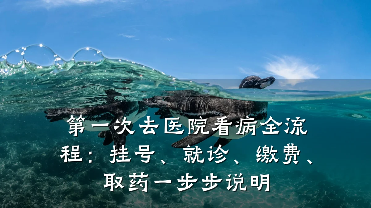第一次去医院看病全流程：挂号、就诊、缴费、取药一步步说明