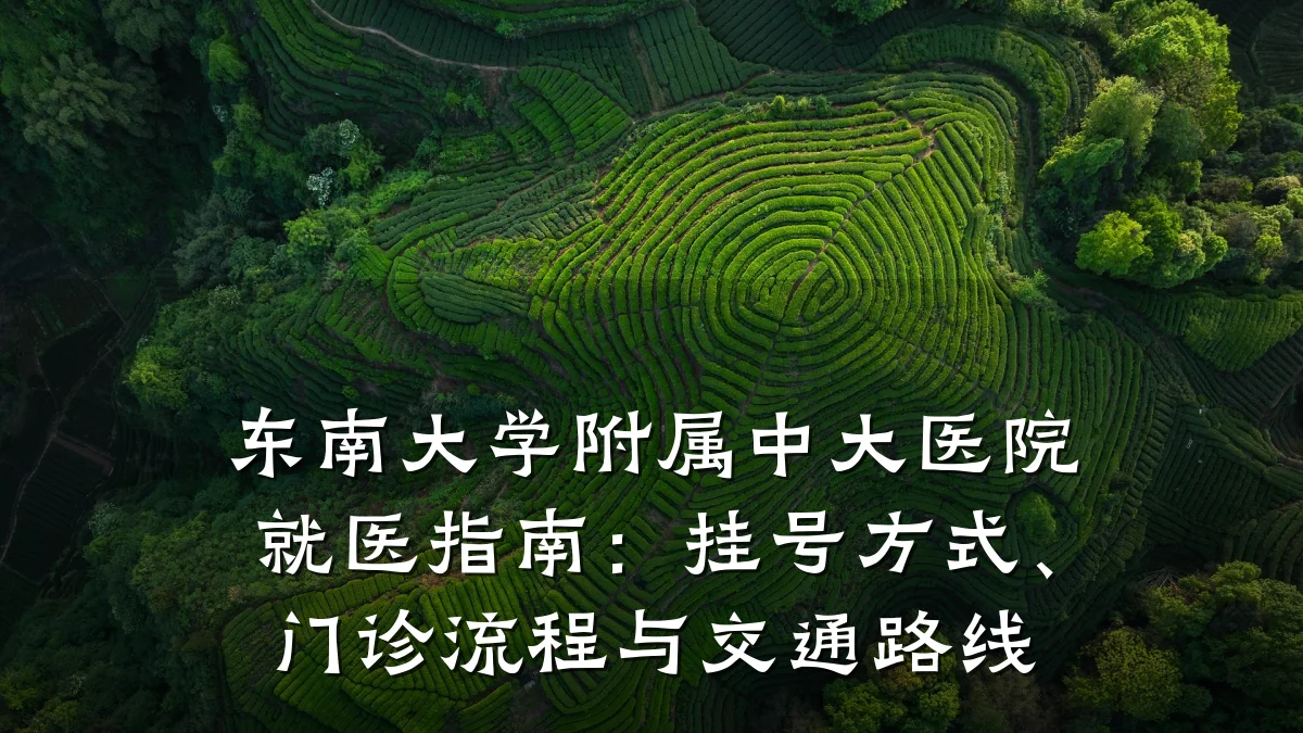 东南大学附属中大医院就医指南：挂号方式、门诊流程与交通路线