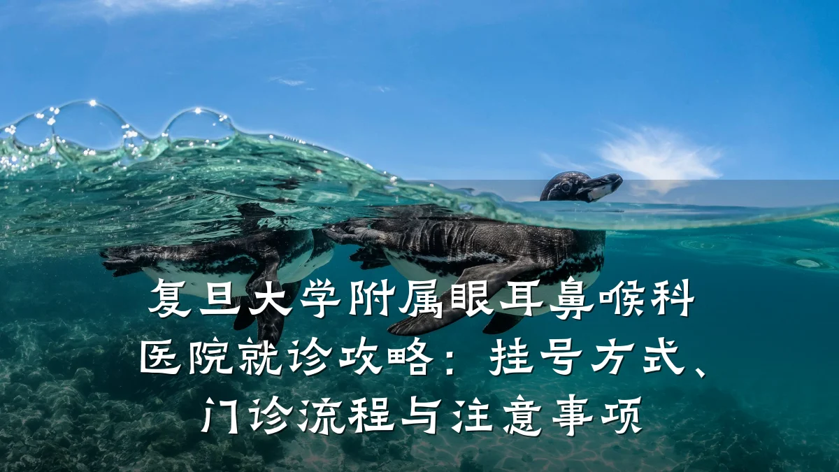 复旦大学附属眼耳鼻喉科医院就诊攻略:挂号方式、门诊流程与注意事项