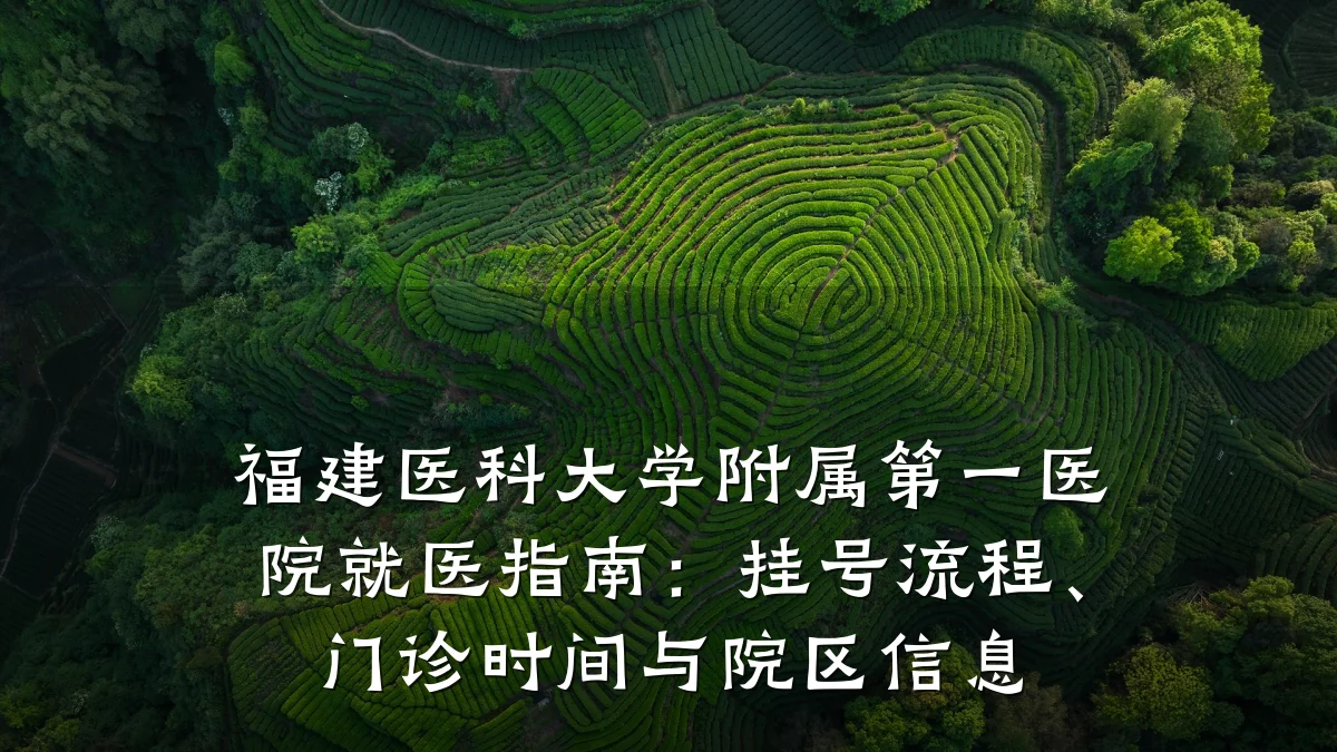 福建医科大学附属第一医院就医指南:挂号流程、门诊时间与院区信息