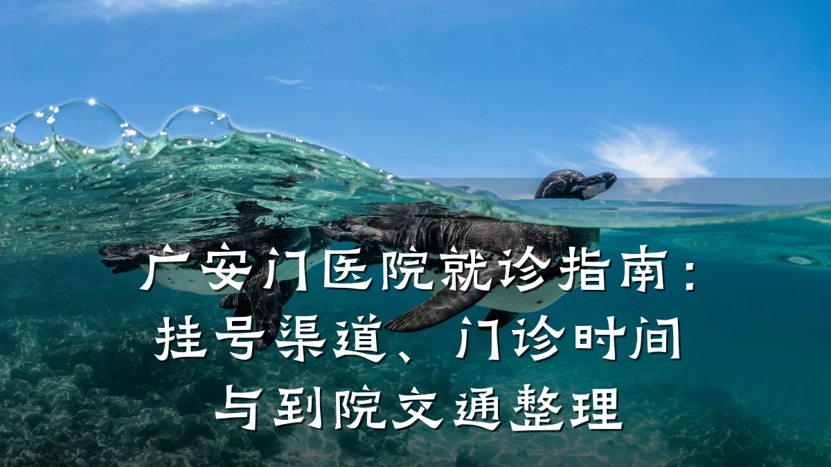 广安门医院就诊指南:挂号渠道、门诊时间与到院交通整理