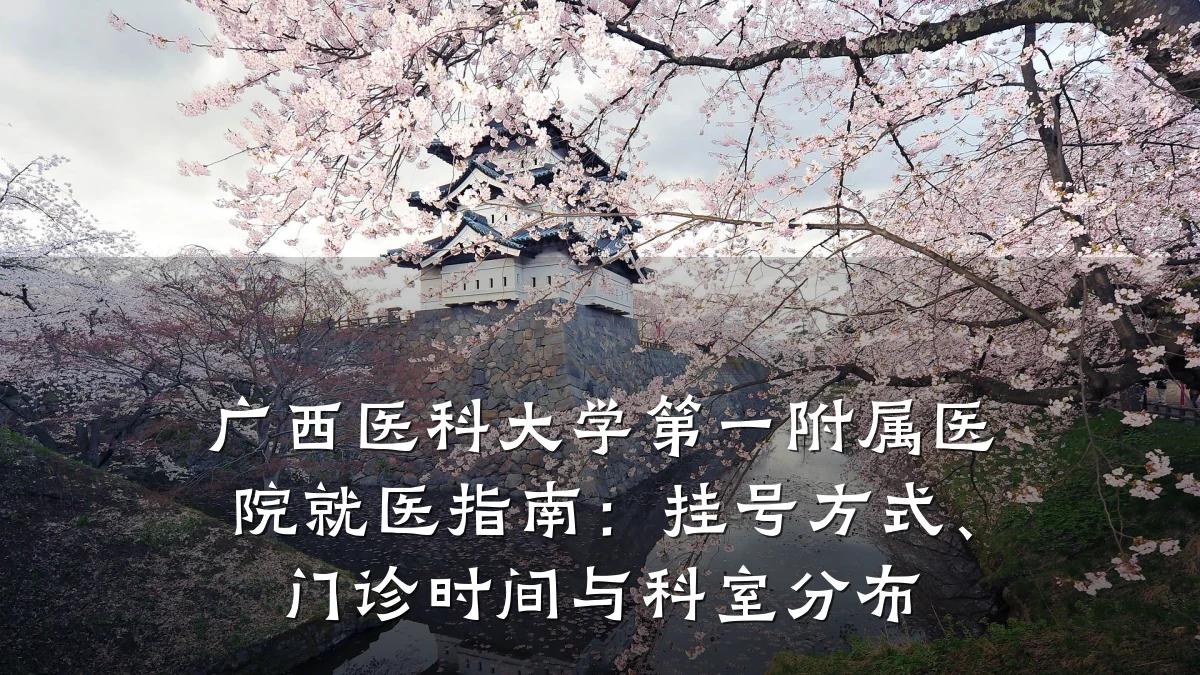广西医科大学第一附属医院就医指南:挂号方式、门诊时间与科室分布