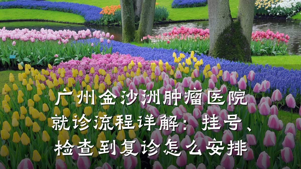 广州金沙洲肿瘤医院就诊流程详解:挂号、检查到复诊怎么安排
