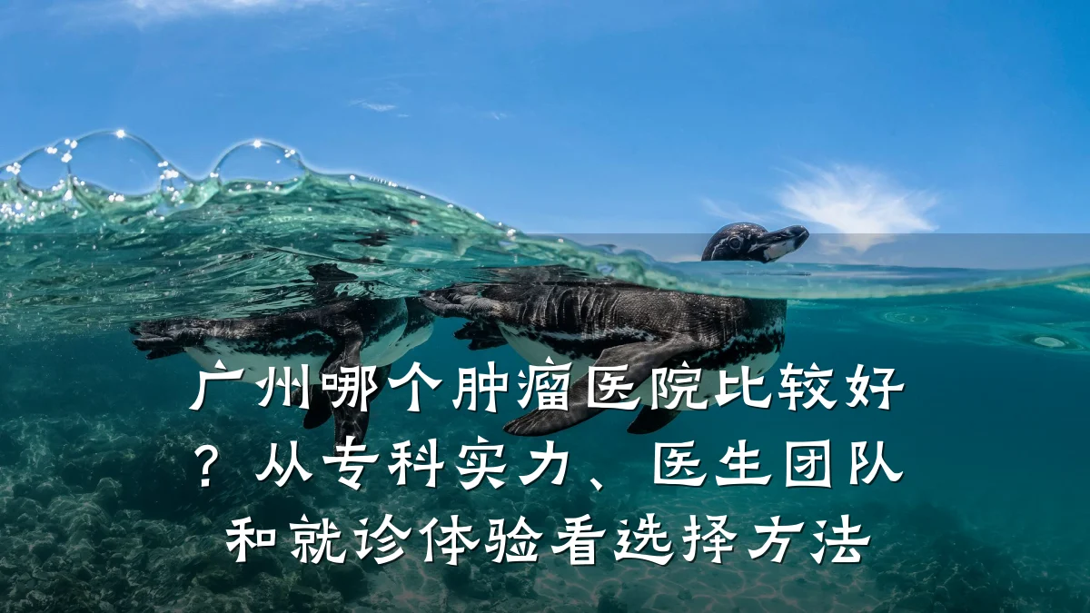 广州哪个肿瘤医院比较好?从专科实力、医生团队和就诊体验看选择方法