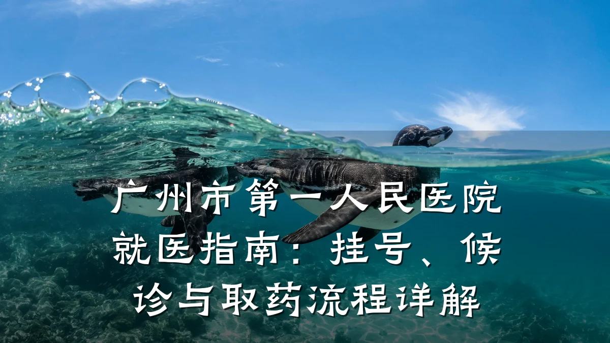 广州市第一人民医院就医指南:挂号、候诊与取药流程详解