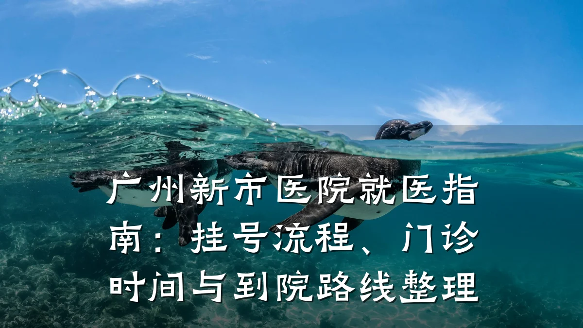 广州新市医院就医指南:挂号流程、门诊时间与到院路线整理