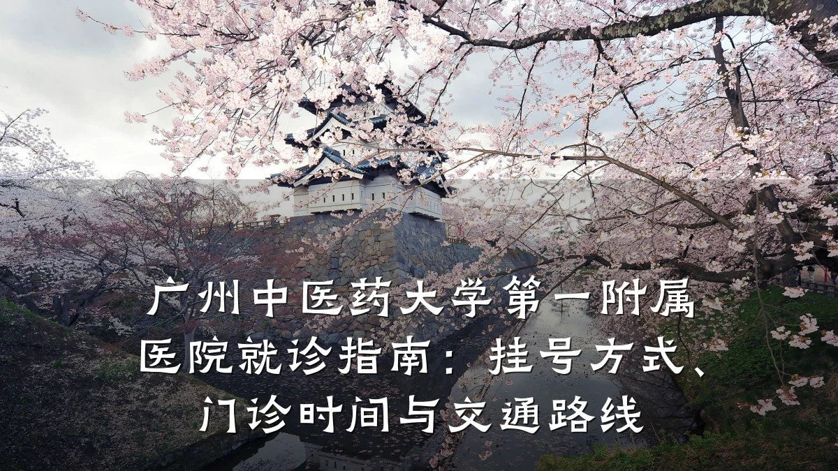 广州中医药大学第一附属医院就诊指南:挂号方式、门诊时间与交通路线