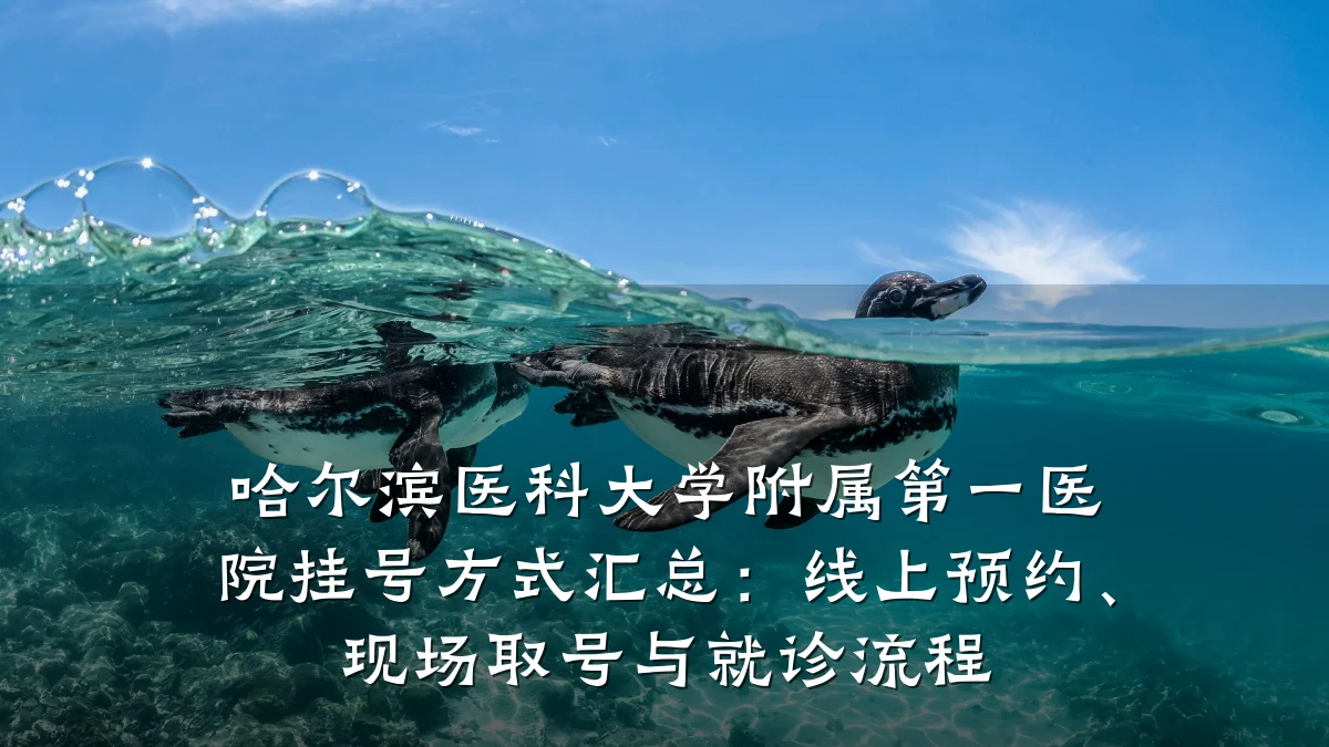 哈尔滨医科大学附属第一医院挂号方式汇总:线上预约、现场取号与就诊流程