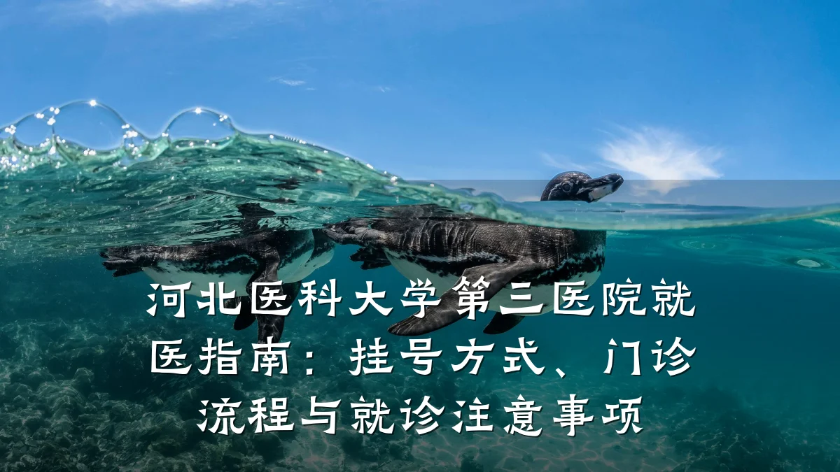 河北医科大学第三医院就医指南:挂号方式、门诊流程与就诊注意事项