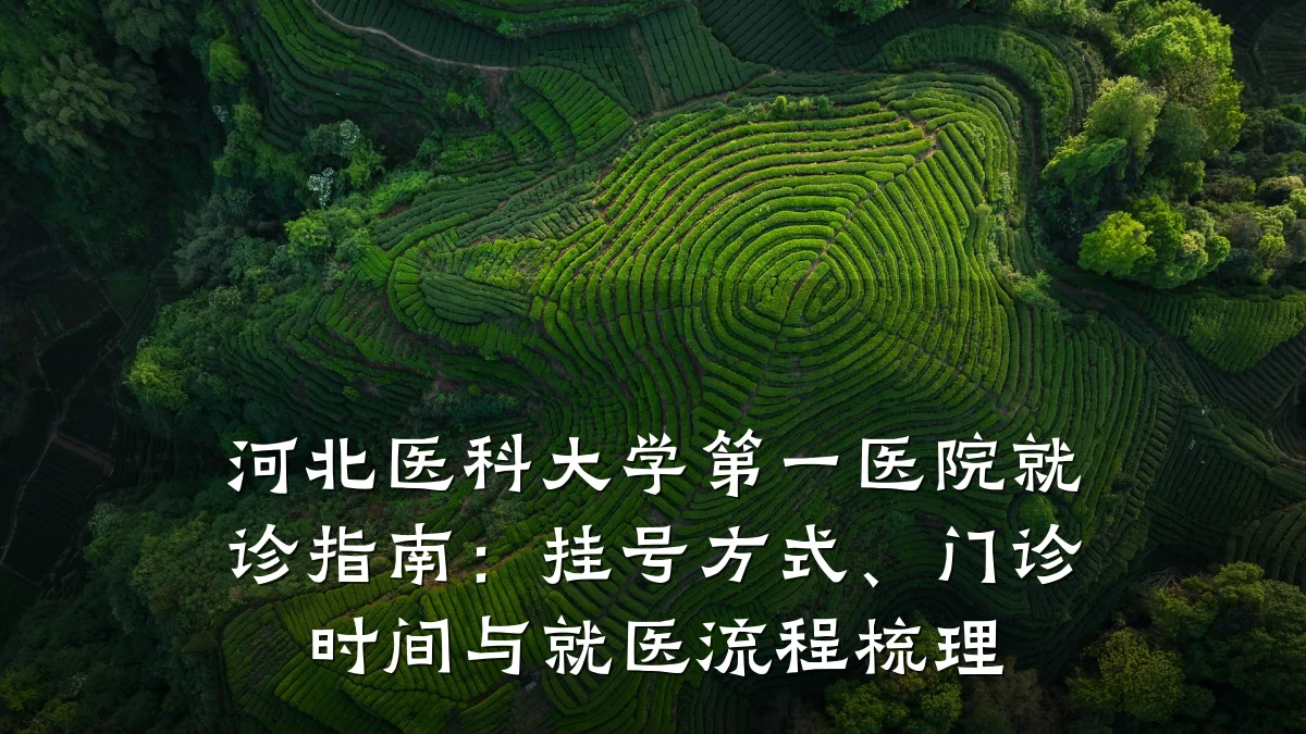 河北医科大学第一医院就诊指南：挂号方式、门诊时间与就医流程梳理