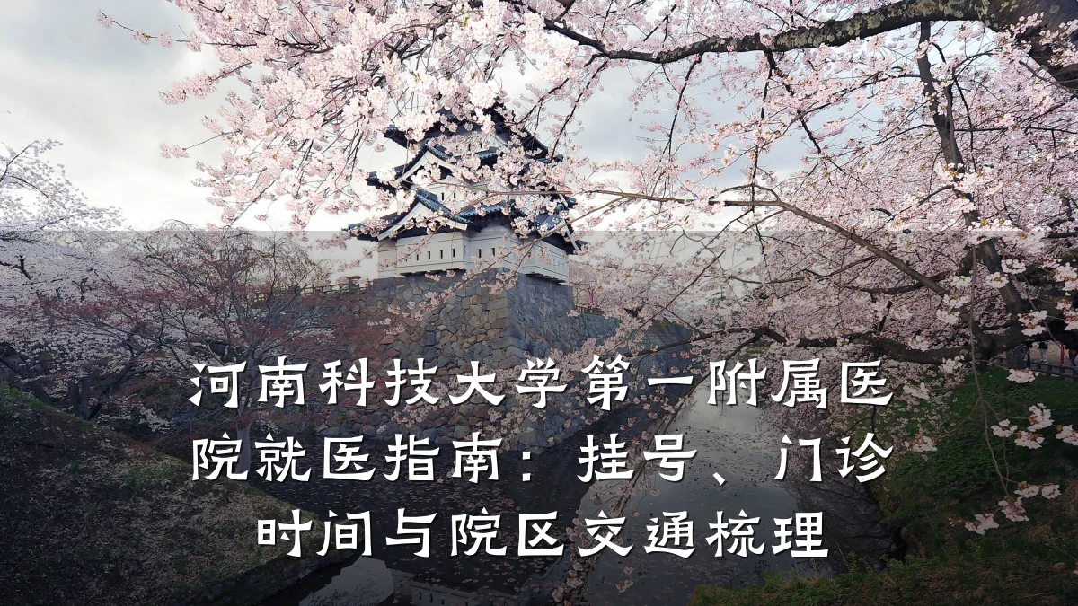 河南科技大学第一附属医院就医指南:挂号、门诊时间与院区交通梳理