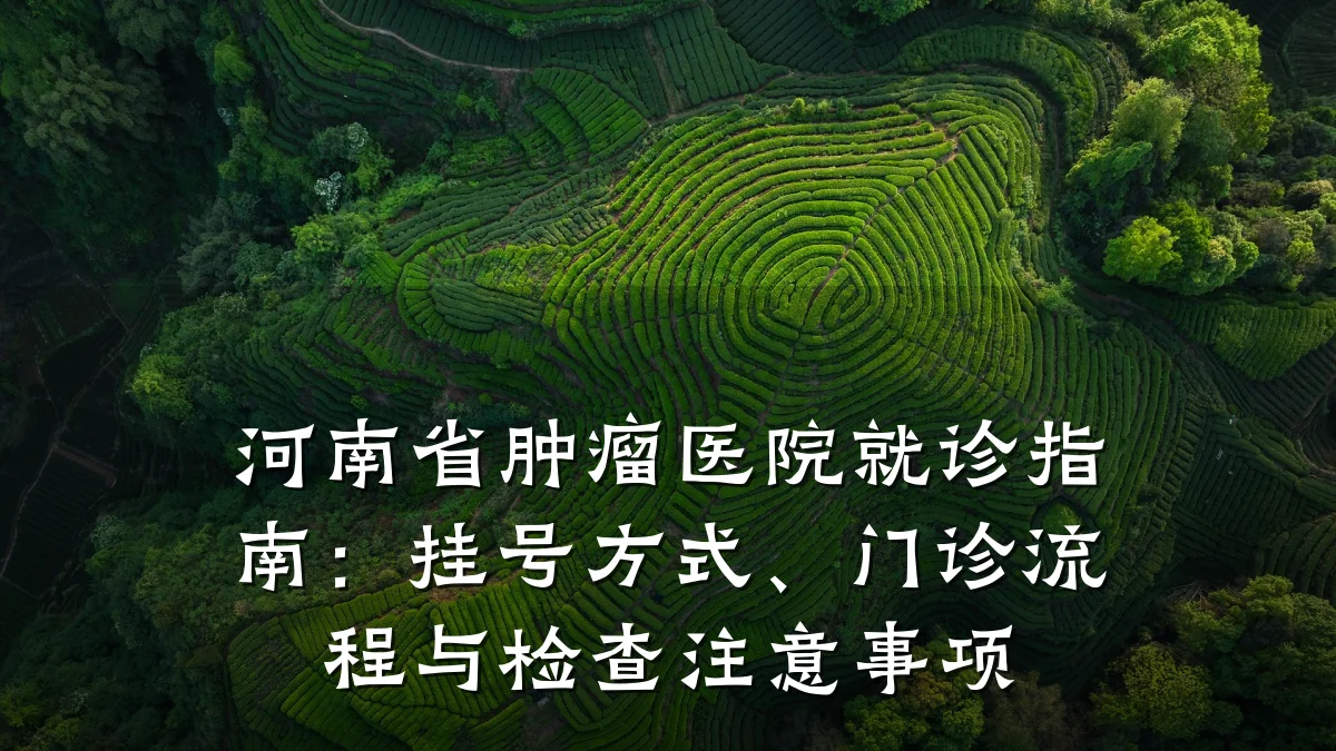 河南省肿瘤医院就诊指南:挂号方式、门诊流程与检查注意事项