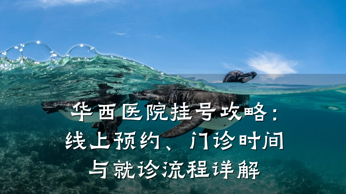 华西医院挂号攻略:线上预约、门诊时间与就诊流程详解