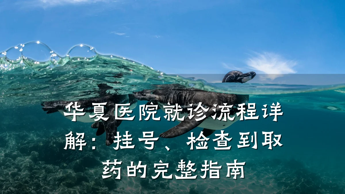 华夏医院就诊流程详解：挂号、检查到取药的完整指南