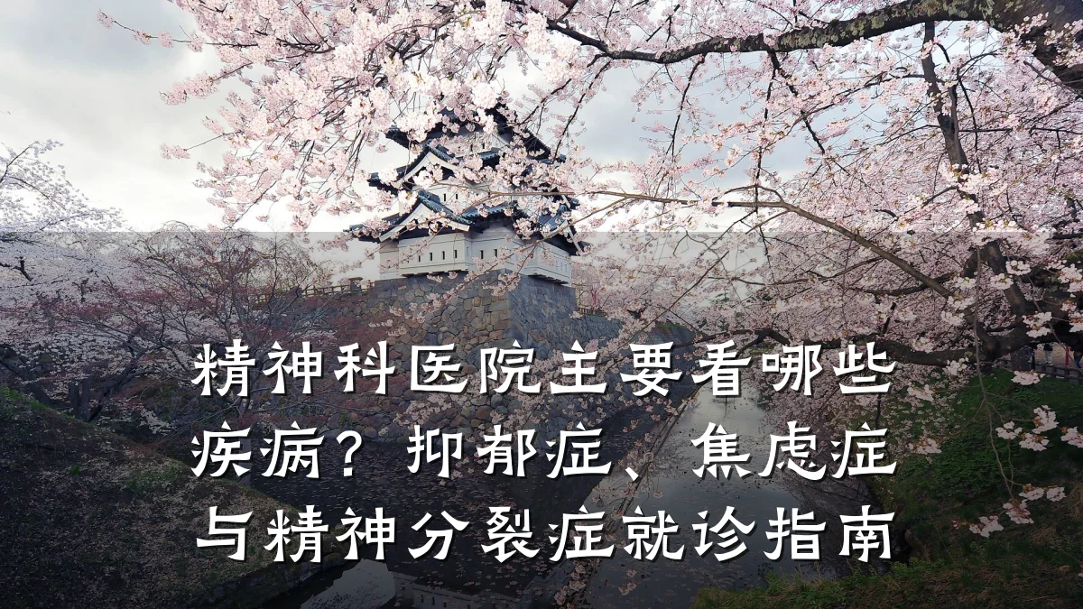 精神科医院主要看哪些疾病?抑郁症、焦虑症与精神分裂症就诊指南