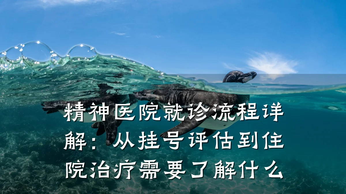 精神医院就诊流程详解:从挂号评估到住院治疗需要了解什么