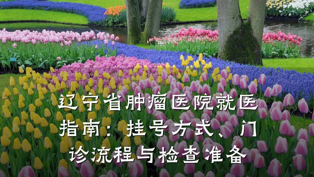 辽宁省肿瘤医院就医指南:挂号方式、门诊流程与检查准备