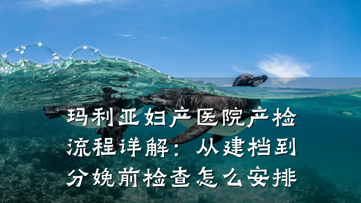 玛利亚妇产医院产检流程详解:从建档到分娩前检查怎么安排