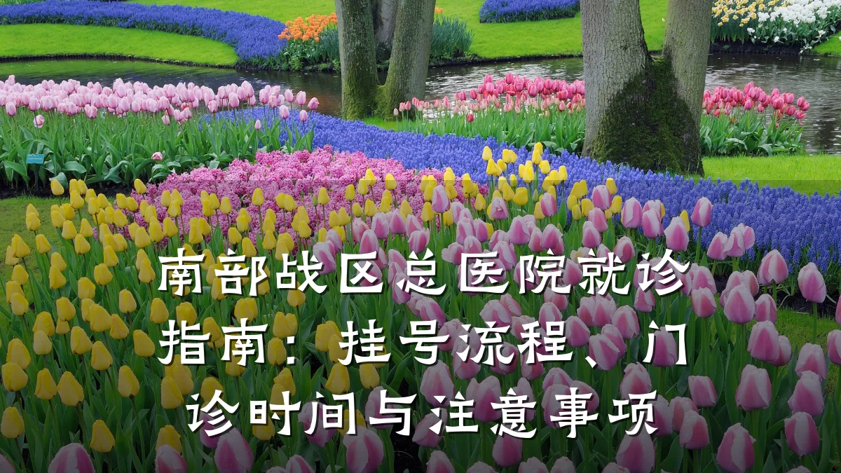 南部战区总医院就诊指南：挂号流程、门诊时间与注意事项
