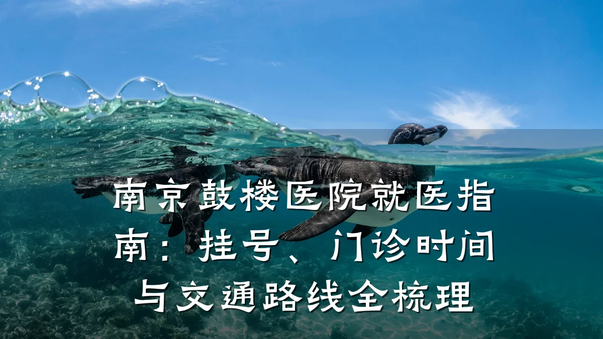 南京鼓楼医院就医指南:挂号、门诊时间与交通路线全梳理
