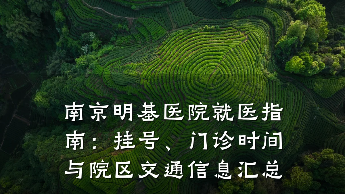 南京明基医院就医指南：挂号、门诊时间与院区交通信息汇总