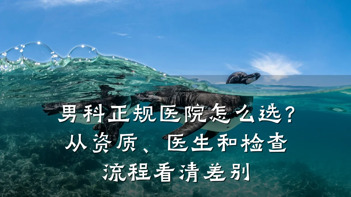 男科正规医院怎么选?从资质、医生和检查流程看清差别