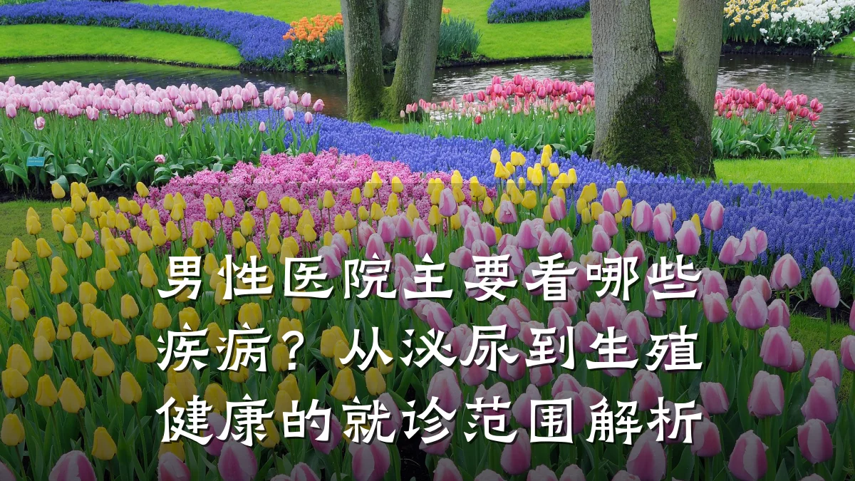 男性医院主要看哪些疾病？从泌尿到生殖健康的就诊范围解析