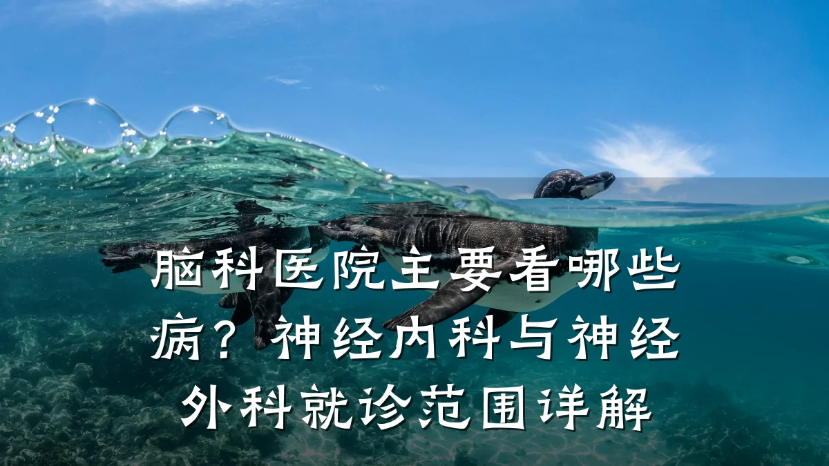 脑科医院主要看哪些病?神经内科与神经外科就诊范围详解
