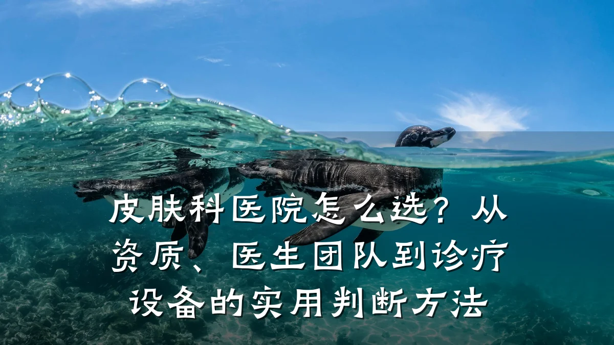 皮肤科医院怎么选?从资质、医生团队到诊疗设备的实用判断方法