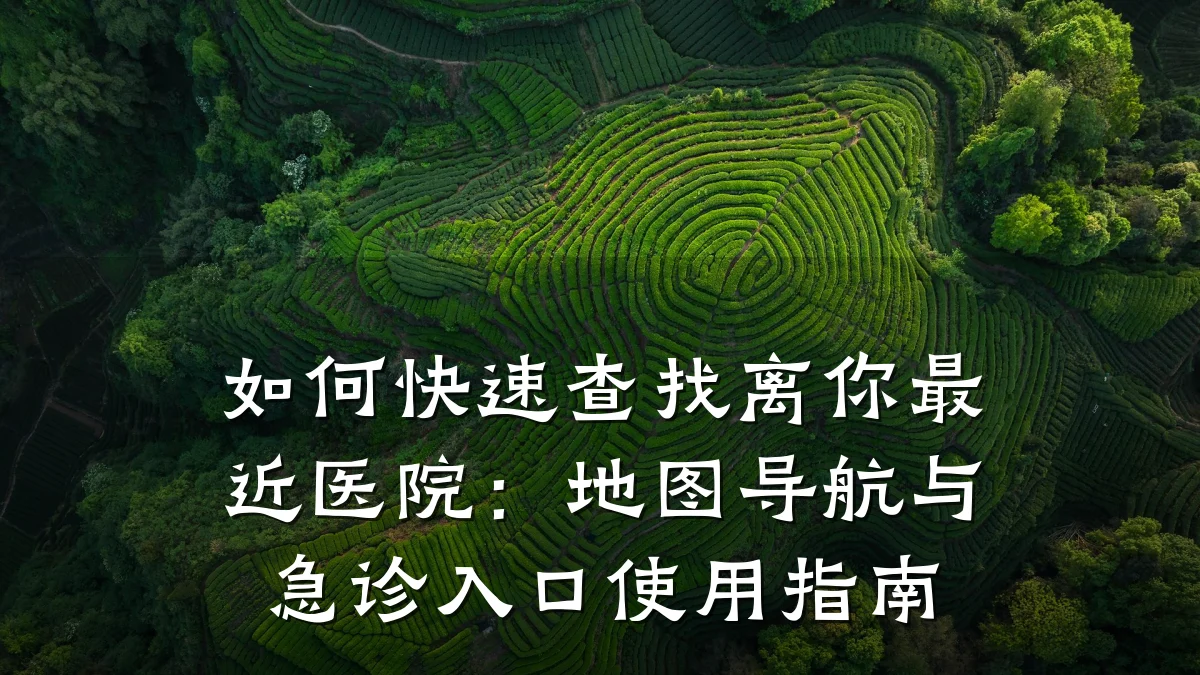 如何快速查找离你最近医院:地图导航与急诊入口使用指南