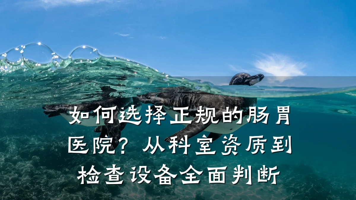 如何选择正规的肠胃医院?从科室资质到检查设备全面判断