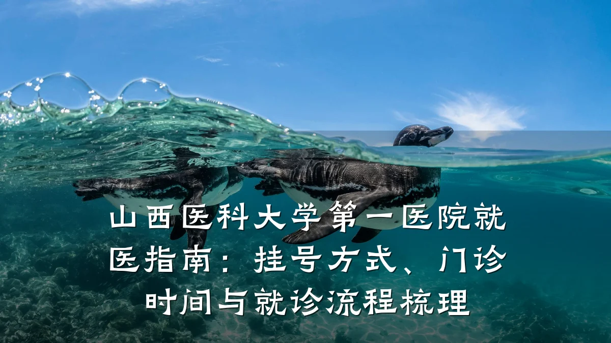山西医科大学第一医院就医指南:挂号方式、门诊时间与就诊流程梳理