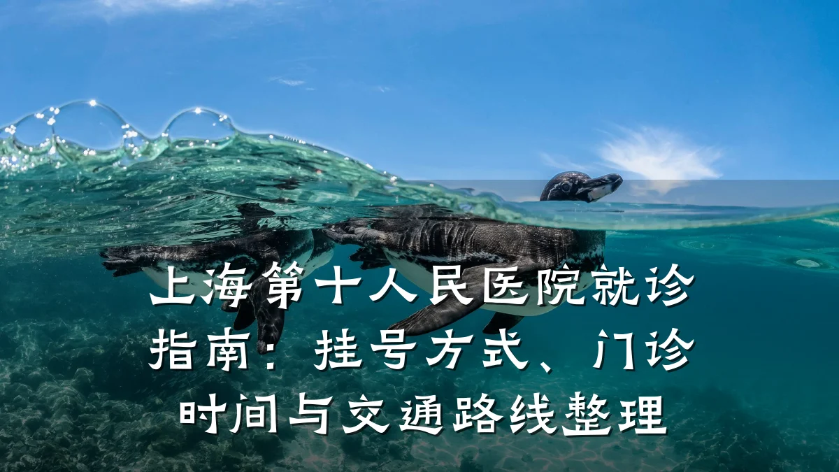 上海第十人民医院就诊指南：挂号方式、门诊时间与交通路线整理