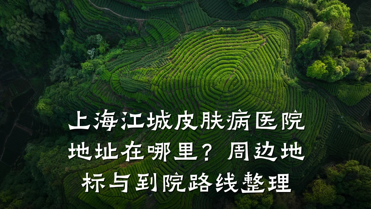 上海江城皮肤病医院地址在哪里?周边地标与到院路线整理
