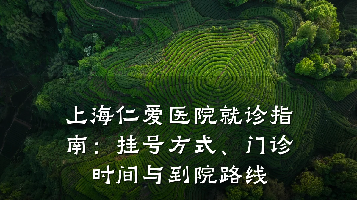 上海仁爱医院就诊指南:挂号方式、门诊时间与到院路线