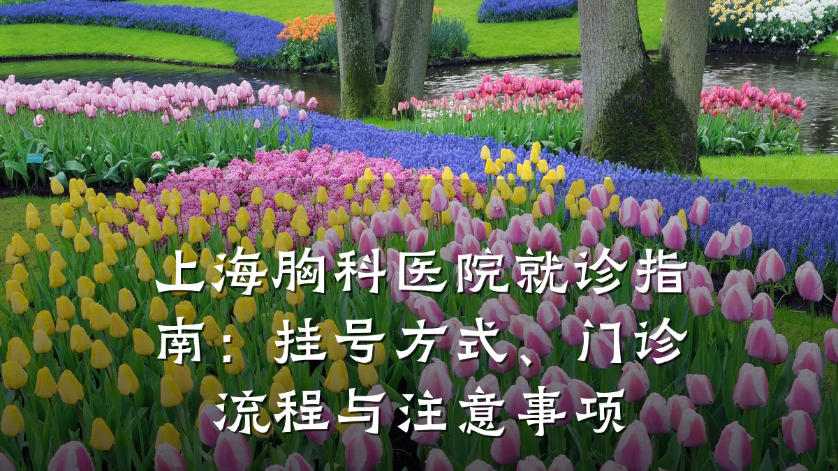 上海胸科医院就诊指南：挂号方式、门诊流程与注意事项