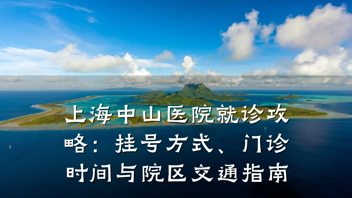 上海中山医院就诊攻略：挂号方式、门诊时间与院区交通指南