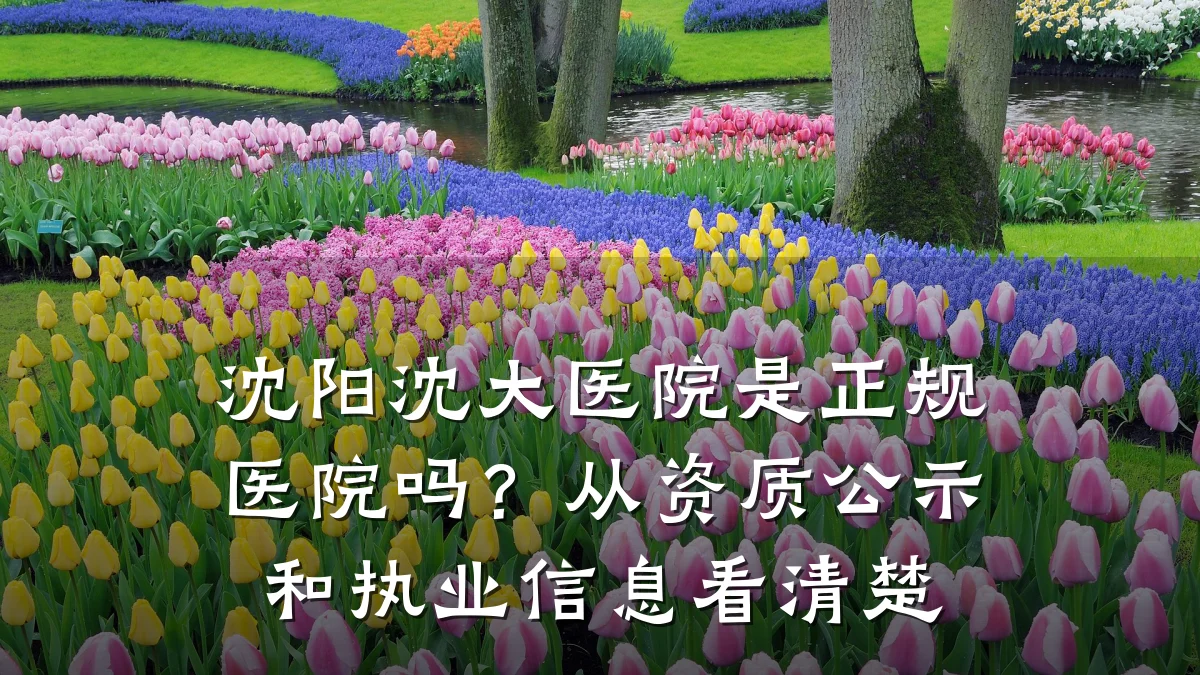 沈阳沈大医院是正规医院吗？从资质公示和执业信息看清楚