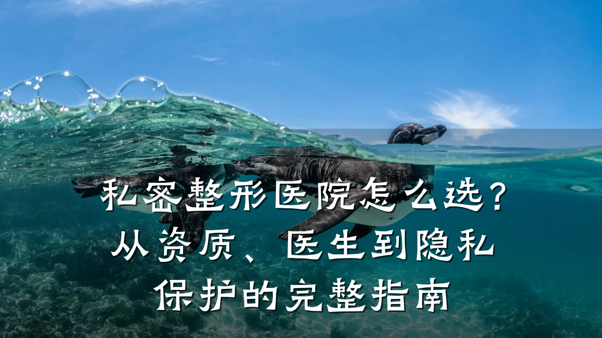 私密整形医院怎么选?从资质、医生到隐私保护的完整指南