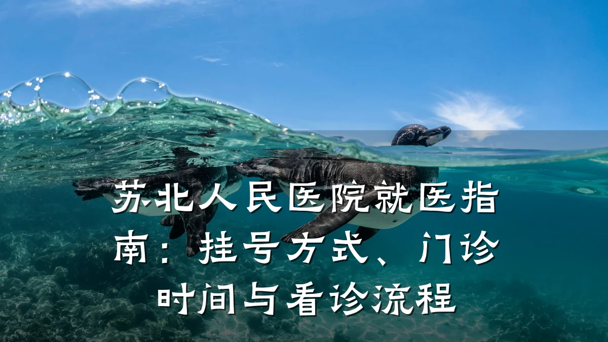 苏北人民医院就医指南:挂号方式、门诊时间与看诊流程